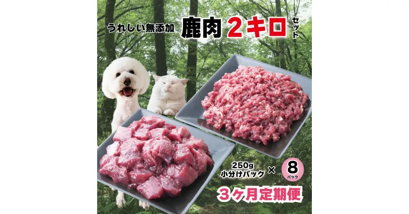 【ふるさと納税】【3回定期便】 森のジビエ for PET 鹿肉 250g×8パック(計2kg)ペットフード 犬 猫 A-JK-B01A