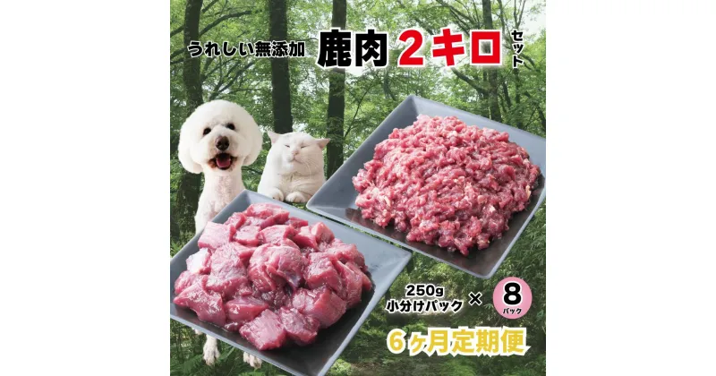 【ふるさと納税】【6回定期便】 森のジビエ for PET 鹿肉 250g×8パック(計2kg) ペットフード 犬 猫 A-JK-C01A