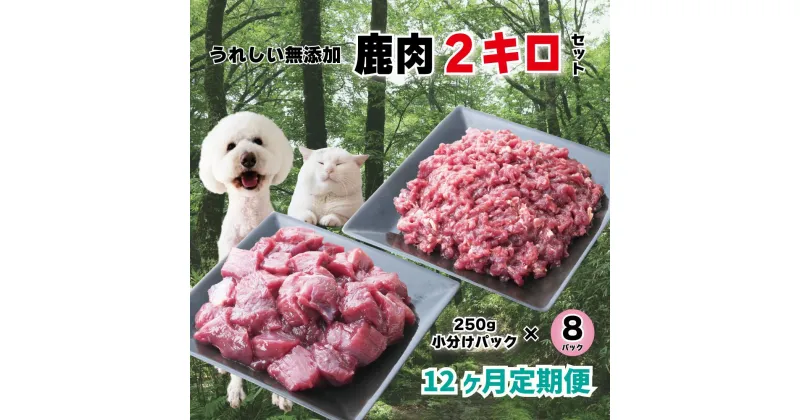 【ふるさと納税】【12回定期便】 森のジビエ for PET 鹿肉 250g×8パック(計2kg) ペットフード 犬 猫 A-JK-D01A