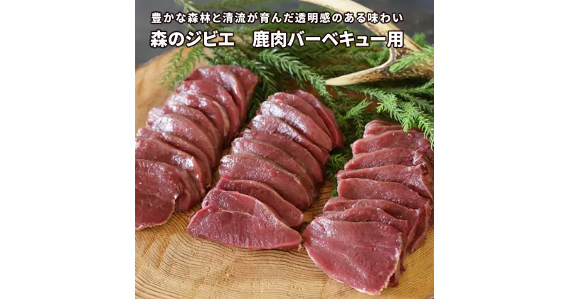 【ふるさと納税】森のジビエ 鹿肉バーベキュー用 600g A-JJ-A18A