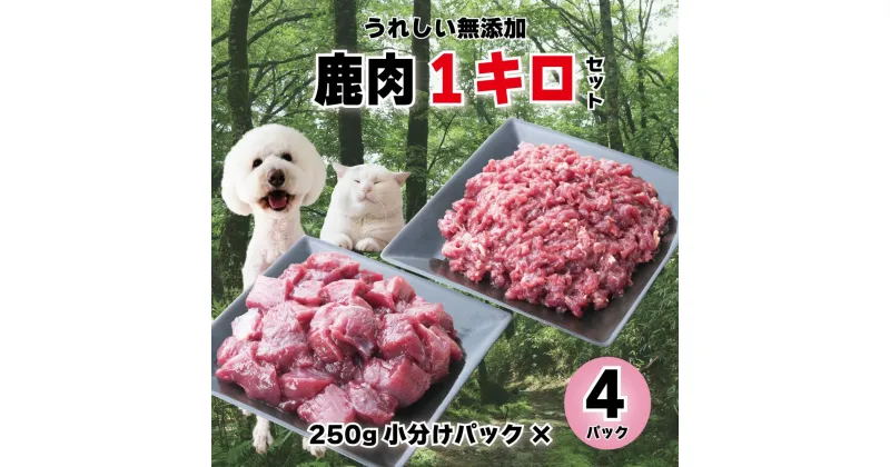 【ふるさと納税】森のジビエ for PET 鹿肉 250g×4パック(計1kg) ペットフード 犬 猫 A-JK-A15A