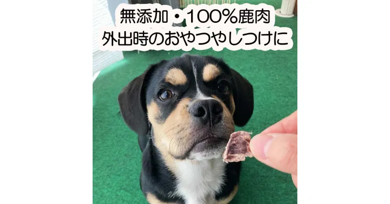 【ふるさと納税】森のジビエ for PET 鹿モモ肉＆肺(ラング)ジャーキーセット【小型・中型犬向け】ペットフード 犬 A-JK-A09A