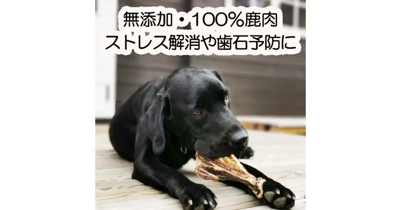 【ふるさと納税】森のジビエ for PET 鹿あばら＆肩甲骨ジャーキーセット【中型・大型犬向け】ペットフード 犬 A-JK-A14A