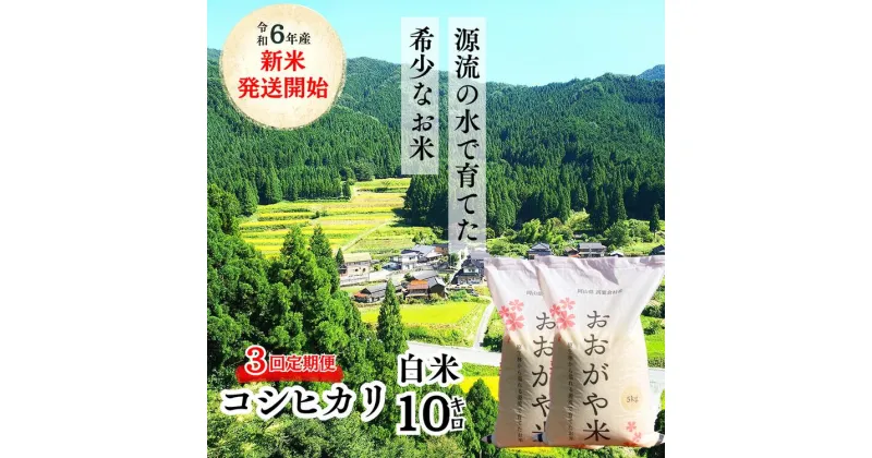 【ふるさと納税】【3回定期便】白米 10kg 令和6年産 コシヒカリ 岡山 「おおがや米」生産組合 G-ag-BDCA