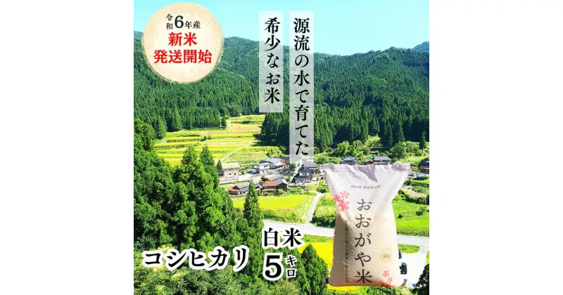 【ふるさと納税】白米 5kg 令和6年産 コシヒカリ 岡山 「おおがや米」生産組合 G-af-ADCA