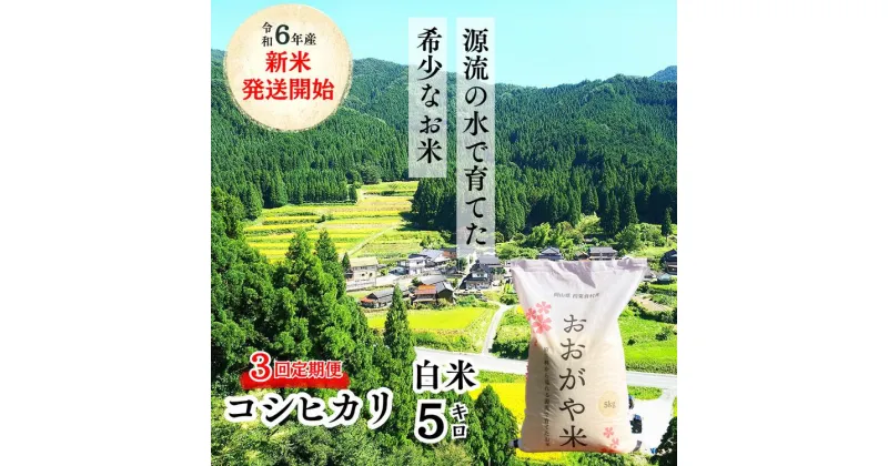 【ふるさと納税】【3回定期便】白米 5kg 令和6年産 コシヒカリ 岡山 「おおがや米」生産組合 G-af-BDCA