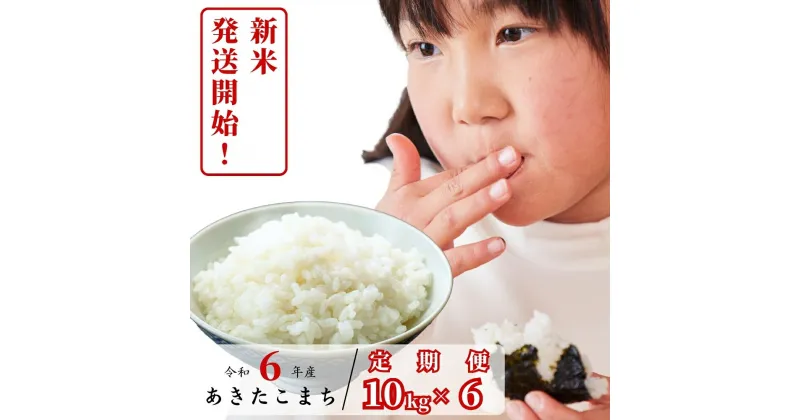 【ふるさと納税】【6回定期便】白米 10kg 令和6年産 あきたこまち 岡山 あわくら源流米 K-bg-CDCA