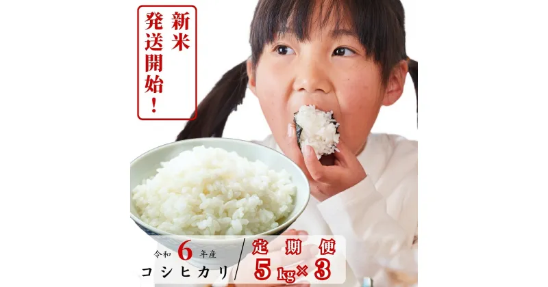 【ふるさと納税】【3回定期便】白米 5kg 令和6年産 コシヒカリ 岡山 あわくら源流米 K-af-BDCA