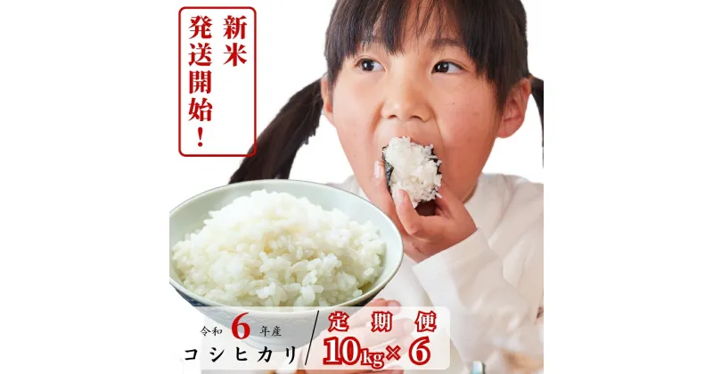 【ふるさと納税】【6回定期便】白米 10kg 令和6年産 コシヒカリ 岡山 あわくら源流米 K-ag-CDCA