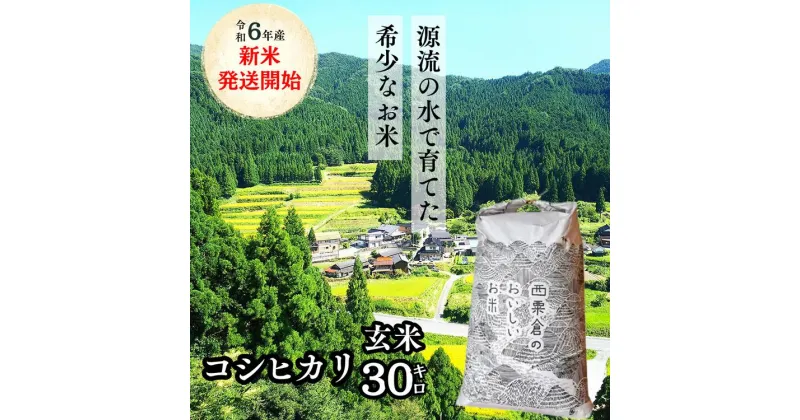 【ふるさと納税】玄米 30kg 令和6年産 コシヒカリ 岡山 「おおがや米」生産組合 G-ad-ADCA