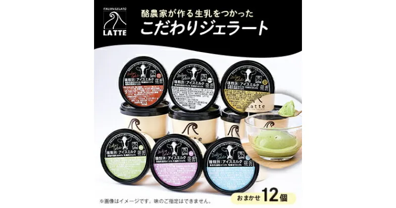 【ふるさと納税】LATTEのカップジェラート詰め合わせ〈おまかせ〉全12個【配送不可地域：離島】【1477104】