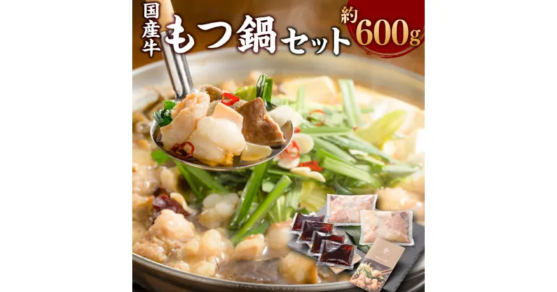 【ふるさと納税】国産牛 もつ鍋 セット 約600g（国産牛 ミックスホルモン 約300g×2 もつ鍋つゆ 98g×4）醤油もつ鍋 もつ鍋 モツ鍋 鍋 鍋セット モツ もつ 牛もつ 牛モツ 和牛 醤油 スープ付き 国産牛 冷凍 お取り寄せ グルメ 岡山県 美咲町 送料無料