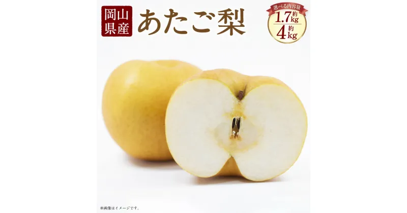 【ふるさと納税】岡山県産 あたご梨 化粧箱入り〈選べる〉 2玉（約1.7kg）または 3～6玉（約4kg） 梨 なし ナシ 和梨 旬 果物 フルーツ お取り寄せ デザート 詰め合わせ 送料無料【2024年11月下旬-12月下旬発送予定】