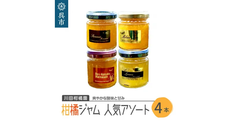 【ふるさと納税】島の恵み 瀬戸内 柑橘ジャム 人気 アソート 4本 セット 食べ比べ セット 温州みかん 紅八朔 レモン しらぬい ジャムセット シトラス お取り寄せグルメ 送料無料 広島県 呉市【合成保存料 着色料 不使用】