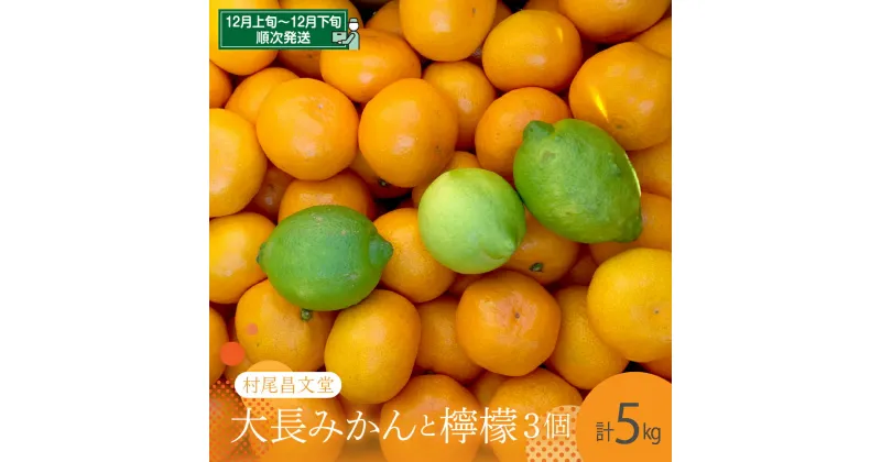 【ふるさと納税】【先行受付】広島 大長みかん と 大長檸檬 3個セット 5kg広島県産 瀬戸内 蜜柑 檸檬 みかん ミカン れもん レモン 柑橘 甘い 香り 酸味 まろやか 産地直送 送料無料 果物 フルーツ 広島県 呉市 先行予約