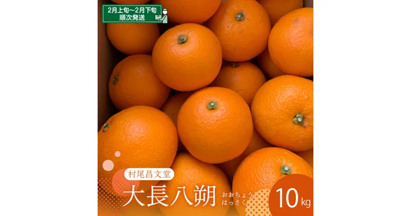 【ふるさと納税】【 先行受付 】 瀬戸内 大崎下島産 大長八朔 10kgはっさく 八朔 みかん ミカン 柑橘 果物 フルーツ 甘い ジューシー 先行 受付 予約 お取り寄せ 常温配送 送料無料 瀬戸内 広島県 呉市 先行予約