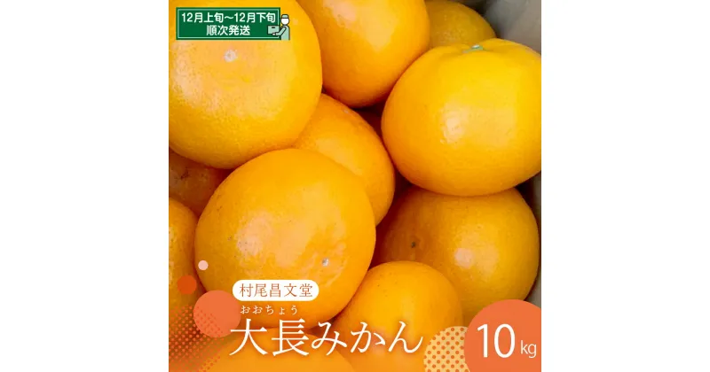 【ふるさと納税】【先行受付】 広島県産 呉 大長みかん 10kgみかん ミカン 柑橘 果物 フルーツ 先行 受付 予約 お取り寄せ 広島県 呉市 大長 果実 果汁 ジューシー 甘い 甘味 酸味 コク 爽やか たっぷり フレッシュ 深みのある甘味 まるみのある酸味 先行予約