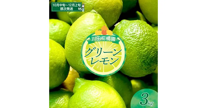 【ふるさと納税】川田柑橘園 広島県産 「グリーンレモン」3kg れもん 檸檬 lemon フルーツ 果物 柑橘 ビタミンC レモネード お取り寄せ 広島県 呉市 レモンサワー 瀬戸内レモン 国産 産地直送 スパイシーな酸味 果汁 瀬戸内海