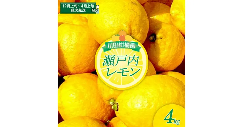 【ふるさと納税】【先行受付】川田柑橘園 広島県産 「瀬戸内レモン」4kg れもん 檸檬 lemon フルーツ 果物 柑橘 ビタミンC レモネード レモン水 お取り寄せ 香り 糖度 高い 香りよし 味よし 酸味 爽やか レモンサワー 国産 先行予約 広島県 呉市