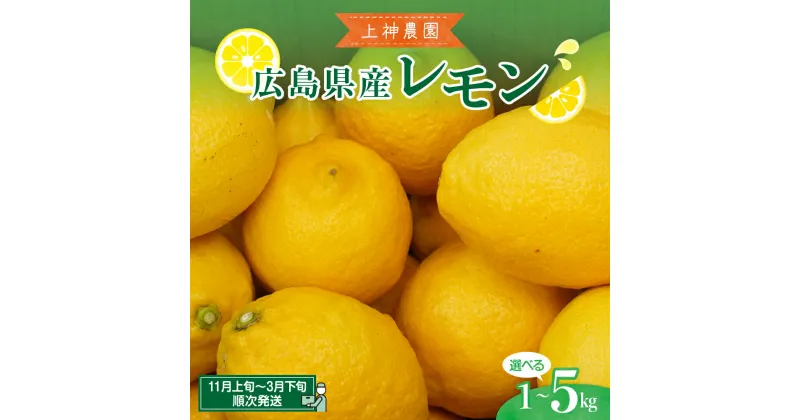 【ふるさと納税】上神農園 の 広島県産 レモン 約1kg / 約2.5kg / 約5kg内容量が選べる 旬 フルーツ 果物 柑橘 産地直送 イエローレモン レモンサワー カクテル 料理 スイーツ ケーキ 爽やか 疲労回復 おすすめ 贈答 贈り物 成人式 年末 年始 国産 広島県 呉市