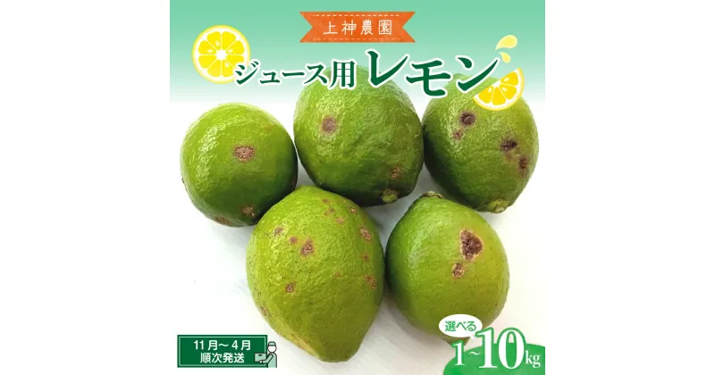 【ふるさと納税】ジュース用 レモン 約1kg / 約10kg内容量が選べる レモン れもん 檸檬 柑橘 果物 フルーツ ビタミンC レモネード お取り寄せ 栽培期間中低農薬 防腐剤不使用 ワックス不使用 ジューシー 広島県 呉市 果汁 レモン汁 爽やか レモン飲料