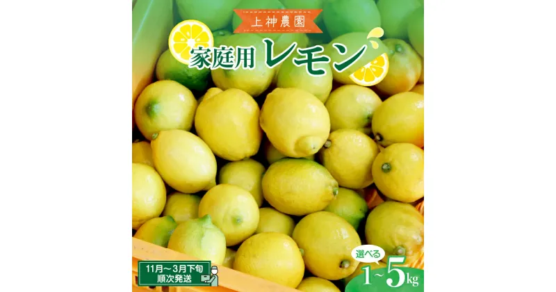 【ふるさと納税】家庭用 広島産 レモン 約1kg / 約5kg内容量が選べる レモン れもん 檸檬 柑橘 果物 フルーツ ビタミンC レモネード お取り寄せ ジューシー 栽培期間中低農薬 防腐剤不使用 ワックス不使用 広島県 呉市 酸味 爽やか 味は変わらず 瀬戸内海