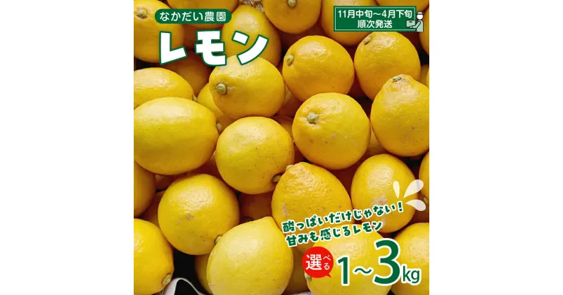 【ふるさと納税】【先行受付】栽培期間中農薬不使用「レモン」約 1kg / 約 3kg内容量が選べる レモン れもん 檸檬 特別栽培 皮まで安心 瀬戸内 産地直送 お取り寄せグルメ 送料無料 特別栽培農産物 先行予約 広島県 呉市