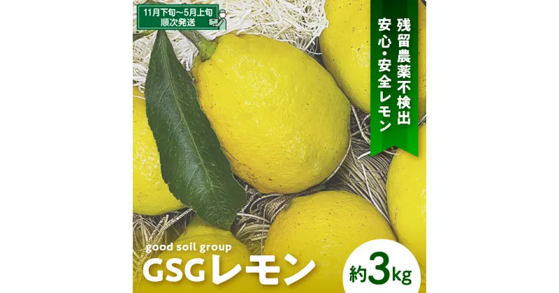 【ふるさと納税】【先行予約】GSGレモン〜残留農薬不検出〜 約3kg 檸檬 レモン 果物 柑橘 フルーツ 生産量日本一の広島 産地直送 先行予約 送料無料 呉市