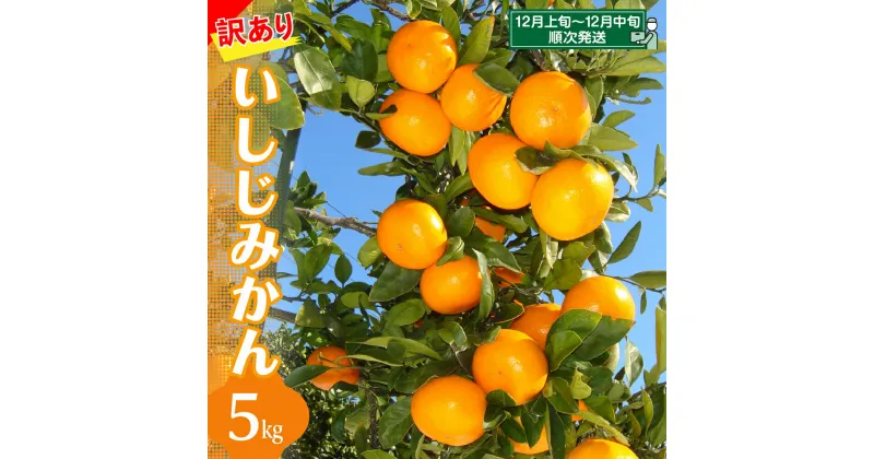 【ふるさと納税】【先行受付】発祥の地よりお届け「 訳あり いしじみかん 」5kg石地みかん 広島みかん 広島ミカン ミカン 蜜柑 柑橘 果物 フルーツ コクのある甘さ 高糖度 糖度センサー わけあり 産地直送 国産 常温配送 送料無料 広島県 呉市