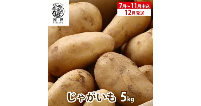 【ふるさと納税】吉名の「まるきっちゃん」じゃがいも 5kg＋400g（傷み補償分）【7月～11月申込】12月発送 ｜ 野菜 じゃがいも ポテト いも 芋 料理 総菜 産地直送 瀬戸内海の温暖な気候で育つ 美味しいじゃがいも　※2024年12月中旬頃順次発送予定