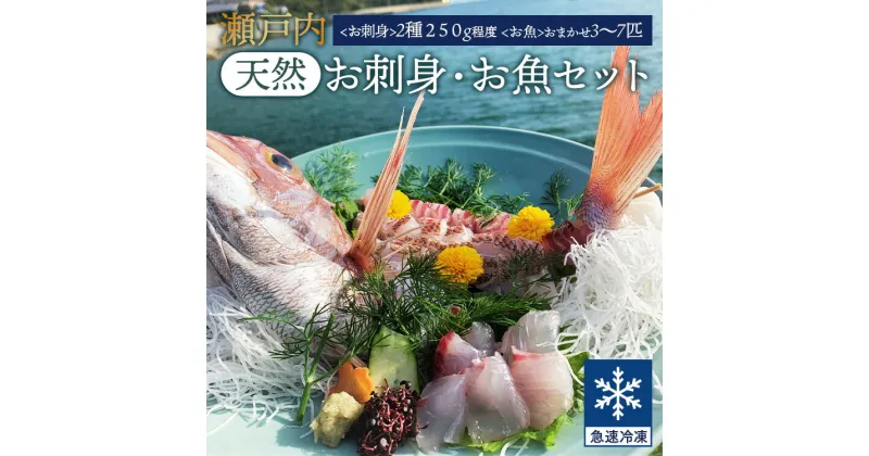 【ふるさと納税】瀬戸内「天然」お刺身・お魚セット（急速冷凍）| 魚介類 海の幸 海鮮 詰め合わせ 国産 日本産 広島県産 即日加工 急速凍結 鮮度抜群 マダイ マダコ 刺身 小さめ 魚 瀬戸内海