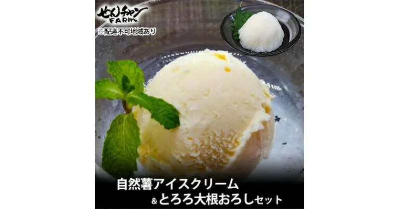 【ふるさと納税】コクがあるのに後味すっきり！自然薯アイスクリーム＆とろろ大根おろしセット（6個入り）【配達不可：離島】　029002