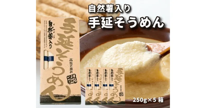 【ふるさと納税】コシがあって美味♪手延べ乾麺の自然薯入りそうめん（250g×5箱）　029006