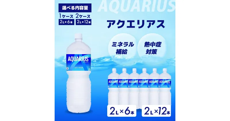 【ふるさと納税】アクエリアス PET 2L×6本(6本×1ケース) 2L×12本(6本×2ケース) スポーツドリンク スポーツ飲料 清涼飲料水 水分補給 ペットボトル 箱買い まとめ買い 014019-r