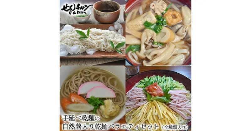 【ふるさと納税】コシがあって美味♪手延べ乾麺の自然薯入り乾麺バラエティセット（全種類入り）　029008