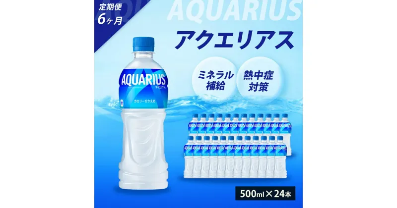 【ふるさと納税】【6か月定期便】アクエリアス PET 500ml×24本(1ケース) スポーツドリンク スポーツ飲料 清涼飲料水 水分補給 ペットボトル 箱買い まとめ買い 014018