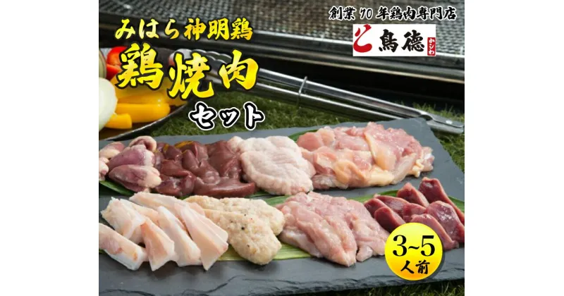 【ふるさと納税】みはら神明鶏の焼肉セット(3～5人前) 鶏肉専門店 鳥徳 鶏肉 神明鶏 鶏モモ セセリ ハツ 手羽先 砂ずり 鶏 とりもも 鶏もも肉 つくね やきにく BBQ セット バーベキュー 012002