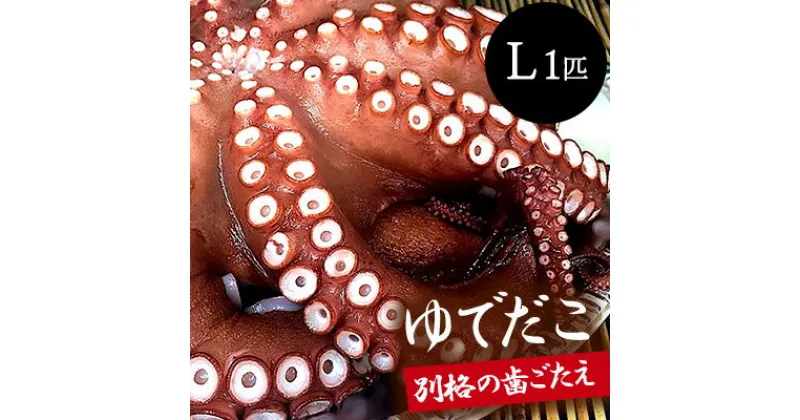 【ふるさと納税】ゆでダコ(L) 1匹 茹でダコ タコ たこ 蛸 瀬戸内 019003