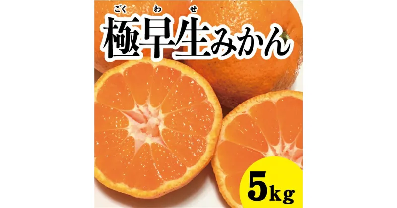 【ふるさと納税】【先行予約】極早生温州みかん約5kg【2024年10月中旬以降発送】佐木島 鷺島みかんじま フルーツ 蜜柑 柑橘 果物 みかん ミカン 産地直送 017012