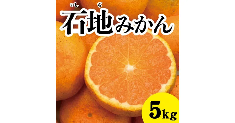 【ふるさと納税】【先行予約】石地みかん約5kg【2024年12月以降発送】広島 三原 佐木島 鷺島みかんじま みかん フルーツ 蜜柑 柑橘 果物 産地直送 お取り寄せ 017016