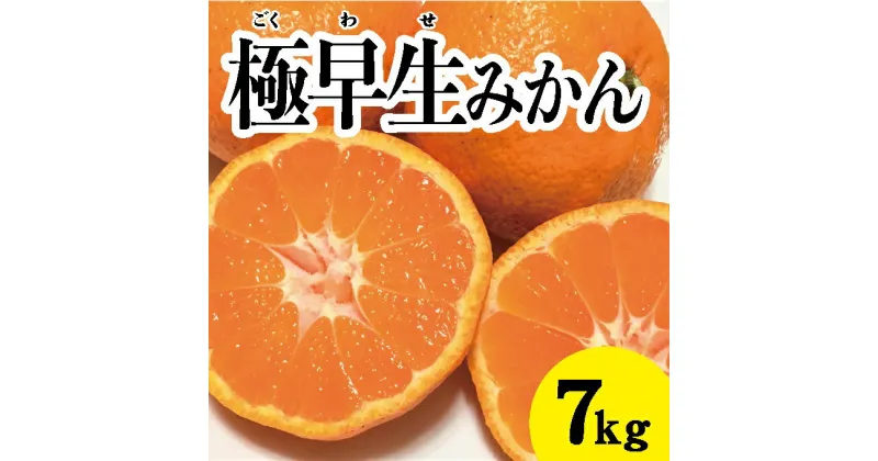 【ふるさと納税】【先行予約】極早生温州みかん約7kg【2024年10月中旬以降発送】佐木島 鷺島みかんじま フルーツ 蜜柑 柑橘 果物 みかん ミカン 産地直送 017013