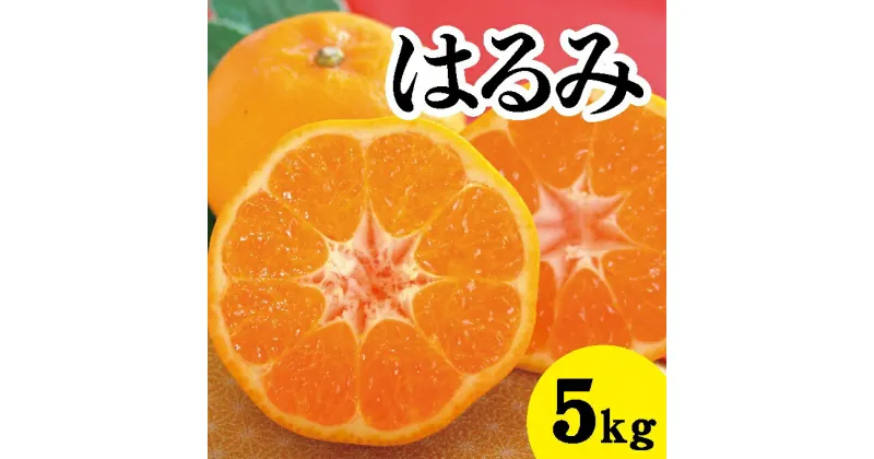 【ふるさと納税】【先行予約】はるみ約5kg【2025年2月以降発送】広島 三原 佐木島 鷺島みかんじま フルーツ 蜜柑 柑橘 果物 みかん ミカン 産地直送 お取り寄せ 017022