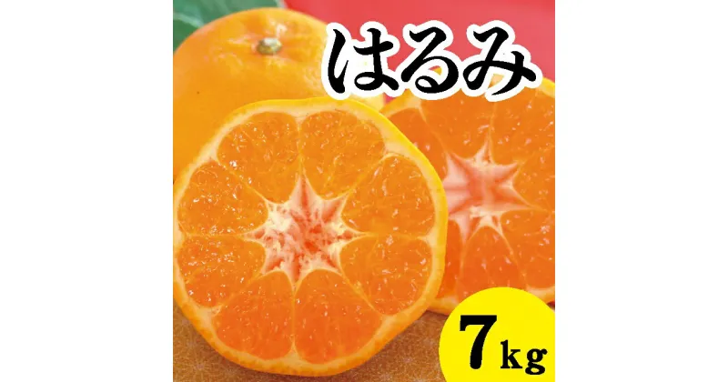 【ふるさと納税】【先行予約】はるみ約7kg【2025年2月以降発送】広島 三原 佐木島 鷺島みかんじま フルーツ 蜜柑 柑橘 果物 みかん ミカン 産地直送 お取り寄せ 017023