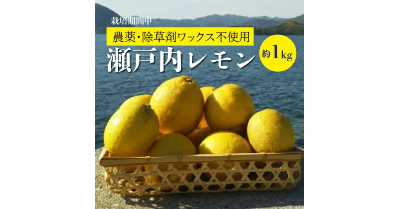 【ふるさと納税】【先行予約】佐木島レモン約1kg(S～L/6～8個)《川原ファーム》【2024年11月以降発送】【栽培期間中 農薬・除草剤不使用】佐木島 れもん 檸檬 鷺島みかんじま 広島レモン 017005