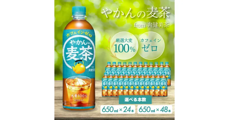 【ふるさと納税】選べる本数！やかんの麦茶 from 爽健美茶 【PET 650ml×24本 or 48本】ペットボトル お茶 むぎ茶 飲料 カフェインゼロ 箱買い まとめ買い 防災 備蓄 014005-r