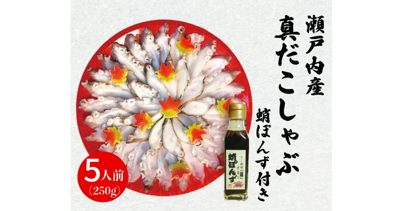 【ふるさと納税】食事処「蔵」真ダコしゃぶ5人前セット 040006