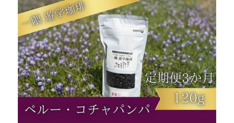 【ふるさと納税】【3カ月定期便】一隅 遊学珈琲　ペルー・コチャパンパ（120g）コーヒー 焙煎 豆 044003