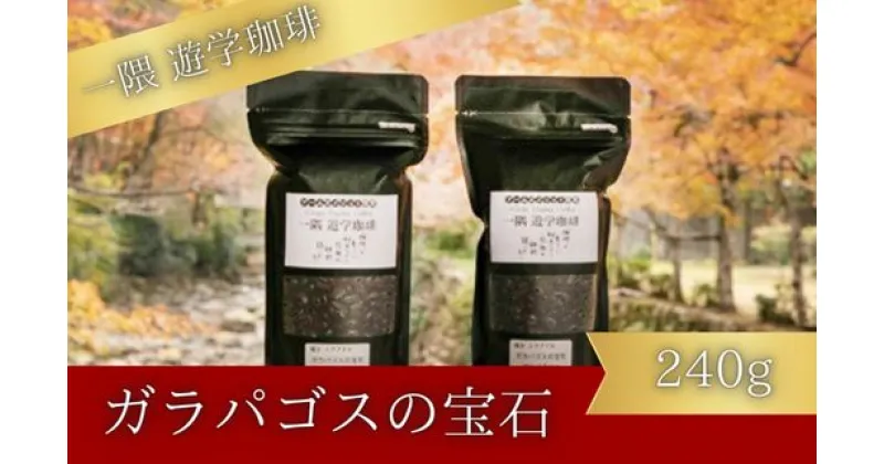 【ふるさと納税】一隅 遊学珈琲　ガラパゴスの宝石 Jewels of Miconia（計240g）コーヒー 焙煎 豆 044001