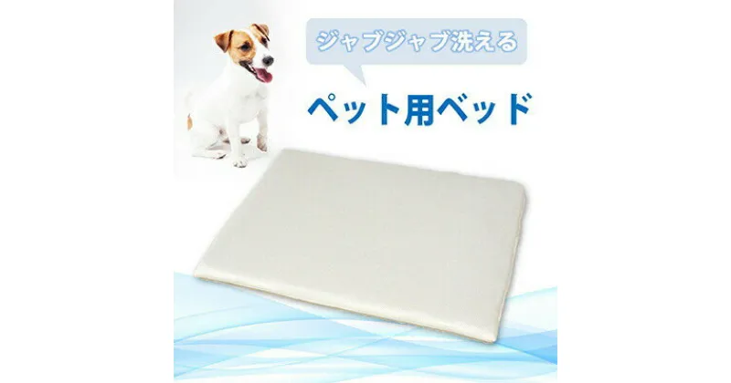 【ふるさと納税】ペット用 洗える ベッド 単品 M アイボリー（80×60×3）　016101