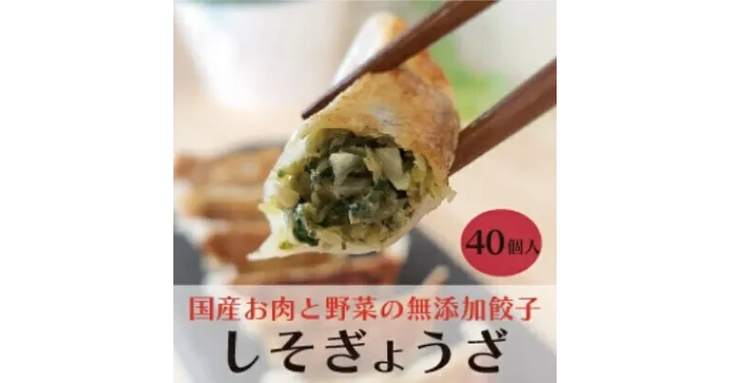 【ふるさと納税】paoの無添加餃子「しそぎょうざ」520g(約40個) 餃子 ギョーザ 惣菜 冷凍 中華 点心 おかず おつまみ 国産野菜 しそ風味 058005